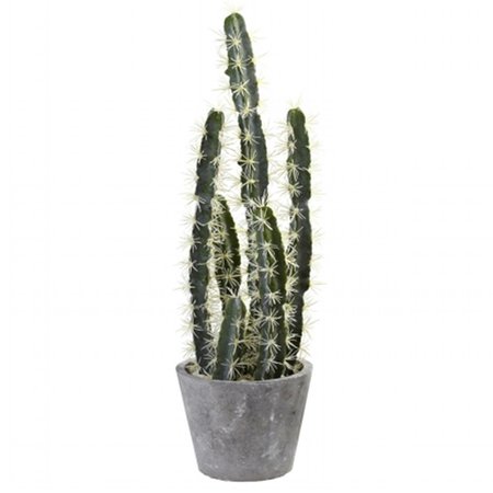 DARE2DECOR Decorative Cactus Garden With Cement Planter DA409334